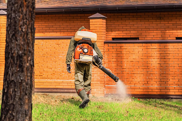 Trusted Emergency Pest Control service in West Brownsville, PA - Nex Pest Control